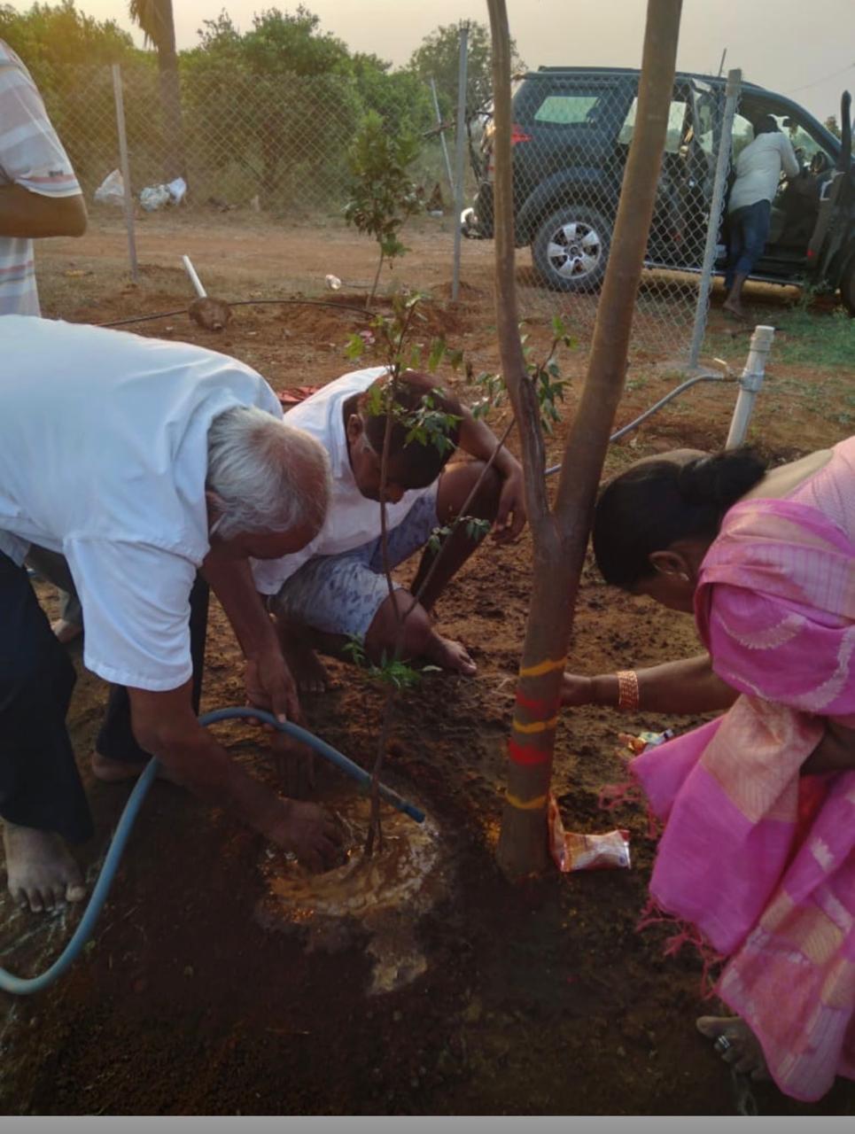 Family planting a tree together